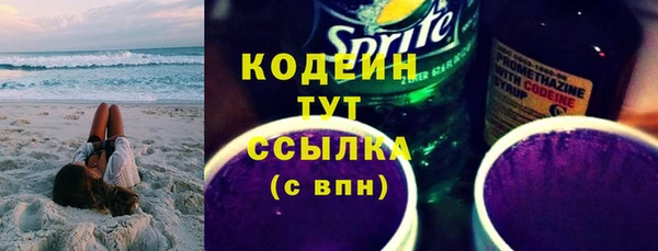 прущие грибы Новозыбков