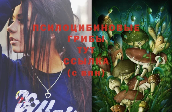 гидропоника Няндома