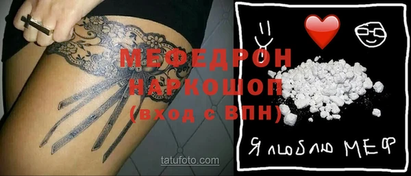 прущие грибы Новозыбков