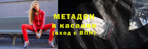 прущие грибы Новозыбков
