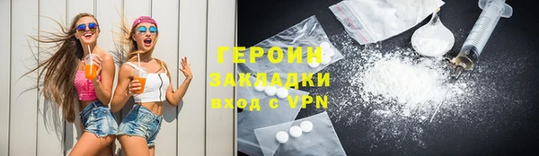 прущие грибы Новозыбков