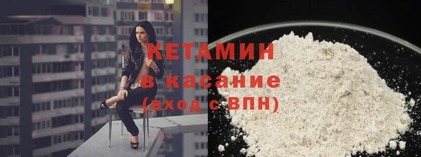 прущие грибы Новозыбков