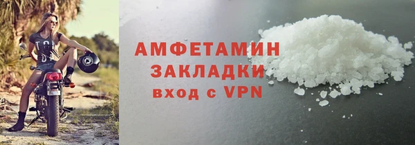 прущие грибы Новозыбков