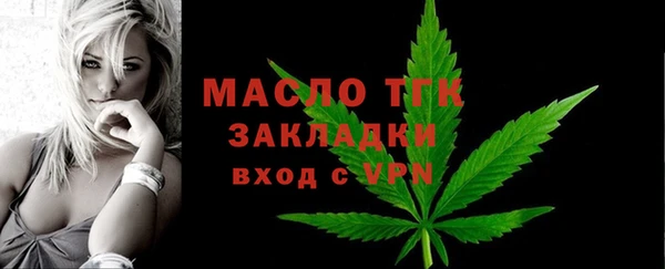 прущие грибы Новозыбков