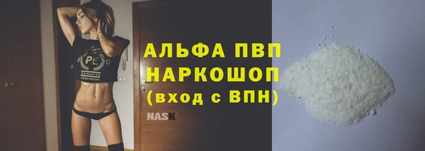 прущие грибы Новозыбков