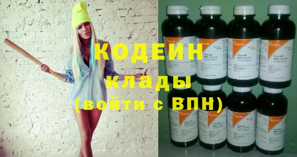 прущие грибы Новозыбков