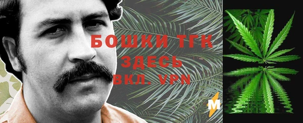 прущие грибы Новозыбков