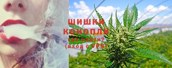 каннабис Новодвинск