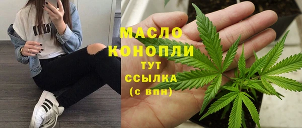 прущие грибы Новозыбков