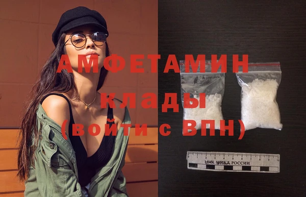 прущие грибы Новозыбков