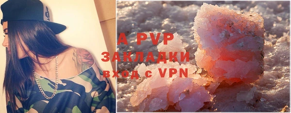 прущие грибы Новозыбков