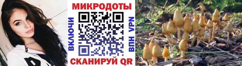 hydra ссылка  Алексин  Псилоцибиновые грибы GOLDEN TEACHER  где купить наркотик 