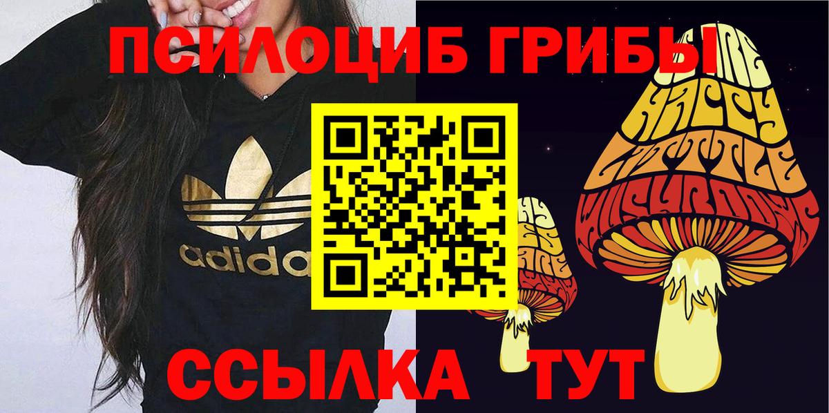 Галлюциногенные грибы Psilocybe  Вход с VPN  Алексин 