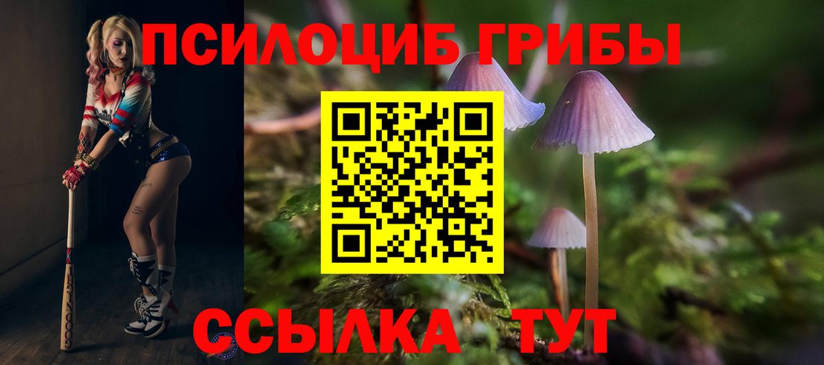 Галлюциногенные грибы Cubensis Алексин